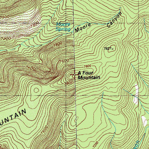 Topographic Map of A Four Mountain, NM