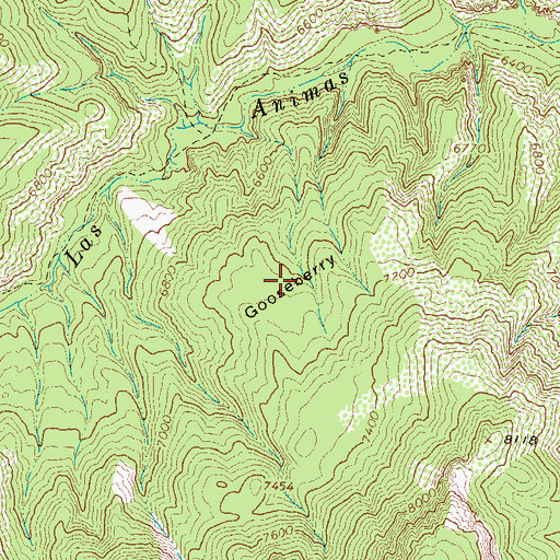 Topographic Map of Gooseberry, NM