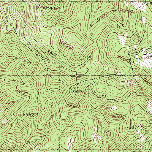 Topographic Map of Old Government Trail, NM