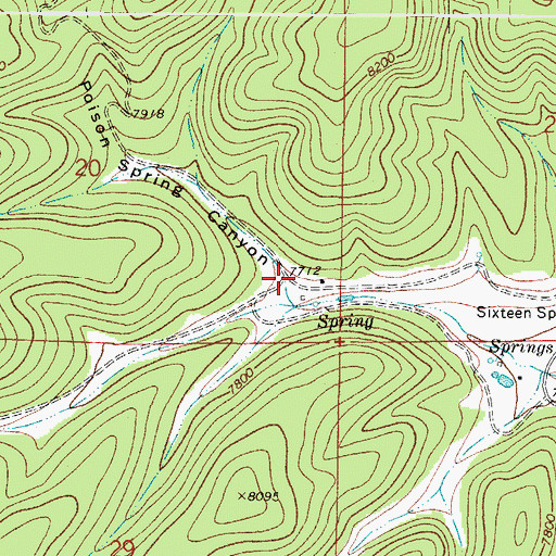 Topographic Map of Poison Spring Canyon, NM