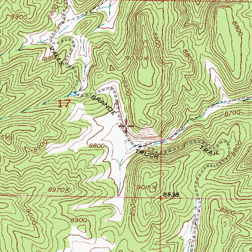 Topographic Map of Valle Grande Truck Trail, NM
