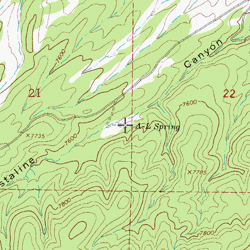Topographic Map of A-L Spring, NM