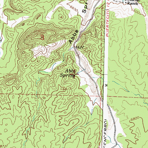Topographic Map of Abbe Spring, NM