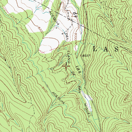 Topographic Map of Acequia del Llano de San Miguel, NM