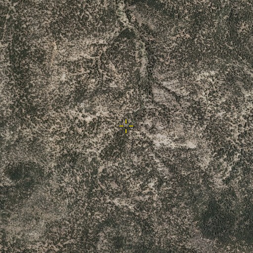 Aerial/Satellite Image of Adair Spring, NM