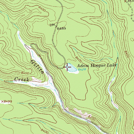 Topographic Map of Adam Hoague Lake, NM