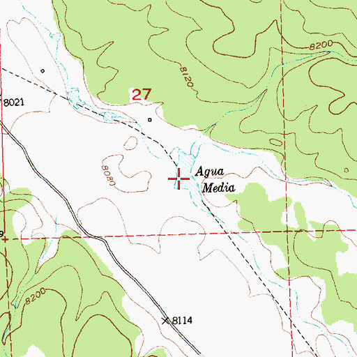 Topographic Map of Agua Media, NM