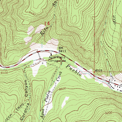 Topographic Map of Agua Piedra Creek, NM