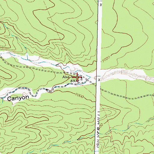 Topographic Map of Ake Well, NM