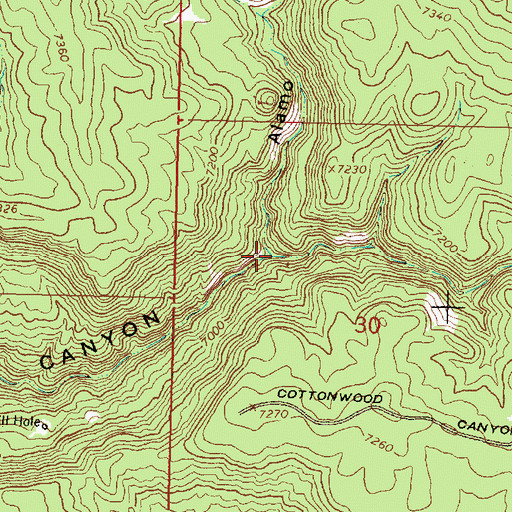 Topographic Map of Alamo Canyon, NM