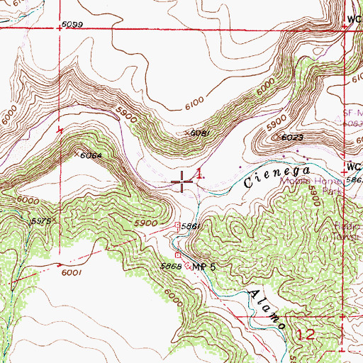 Topographic Map of Alamo Creek, NM