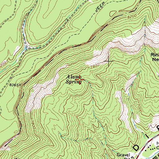 Topographic Map of Alamo Spring, NM