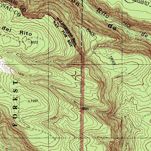 Topographic Map of Alamo Springs Trail, NM