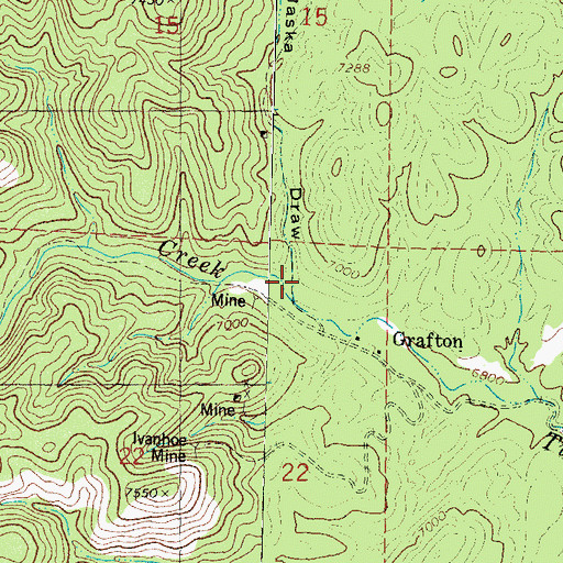 Topographic Map of Alaska Draw, NM