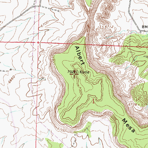 Topographic Map of Albert Mesa, NM