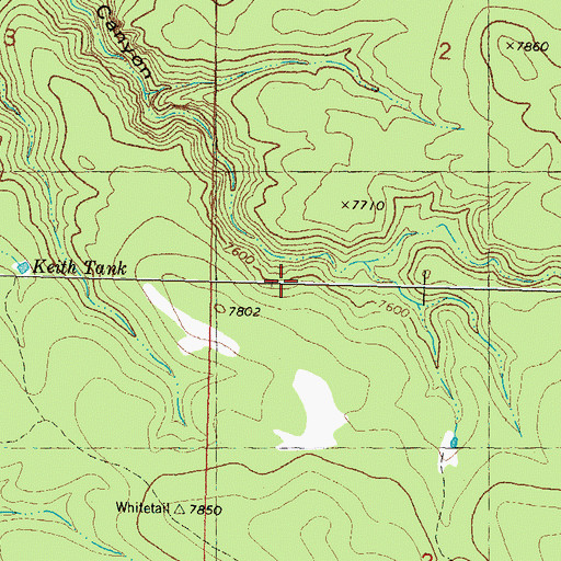 Topographic Map of Alexander Canyon, NM