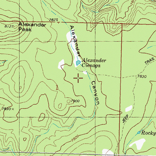 Topographic Map of Alexander Cienega, NM