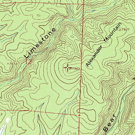Topographic Map of Alexander Mountain, NM
