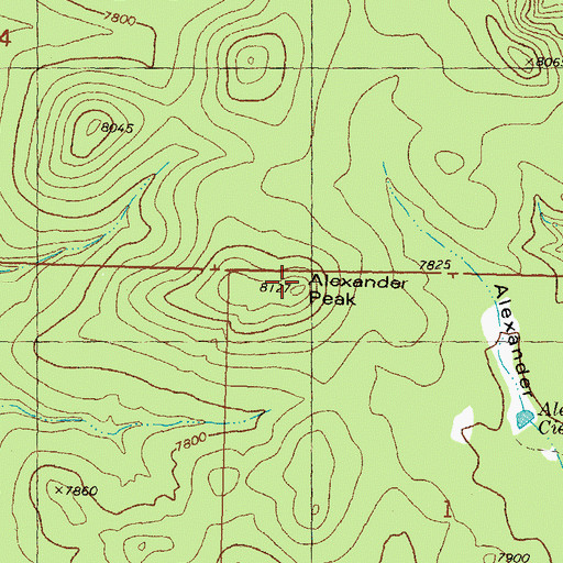 Topographic Map of Alexander Peak, NM