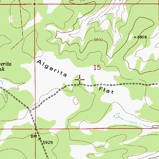 Topographic Map of Algerita Flat, NM