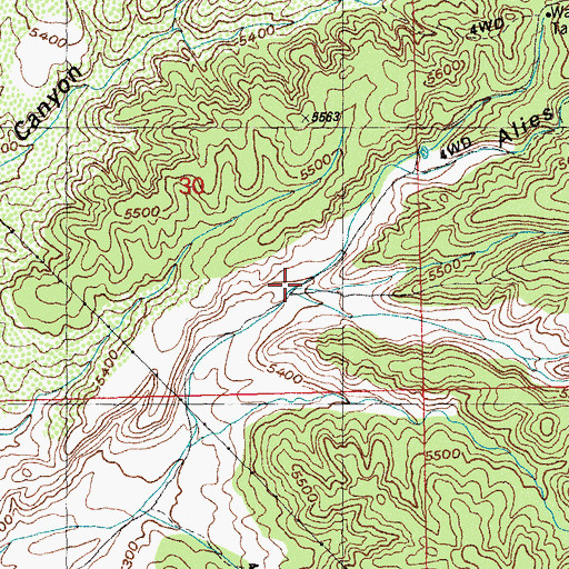 Topographic Map of Alies Seep Canyon, NM
