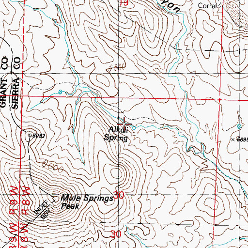 Topographic Map of Alkali Spring, NM