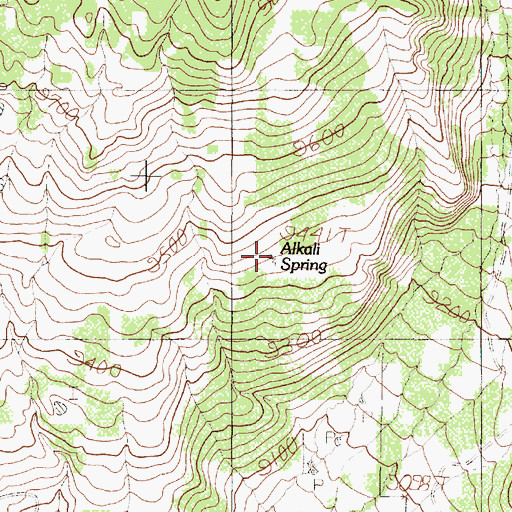 Topographic Map of Alkali Spring, NM
