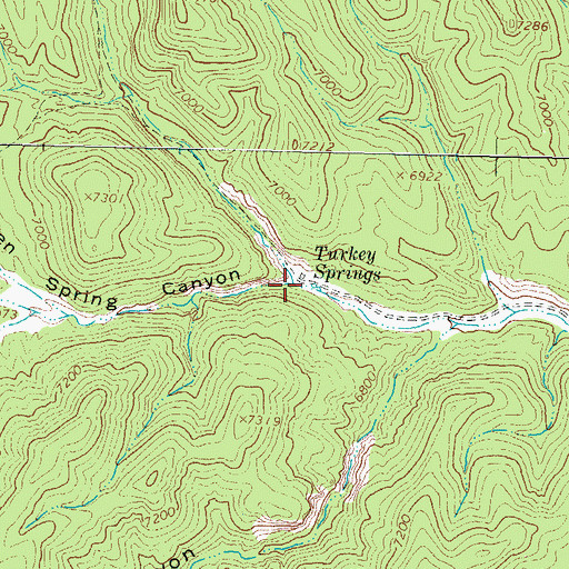 Topographic Map of Allen Spring Canyon, NM