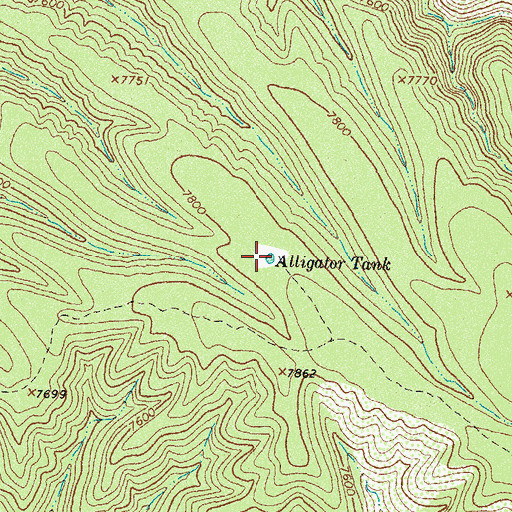 Topographic Map of Alligator Tank, NM