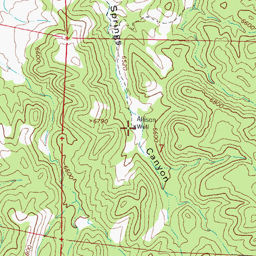 Topographic Map of Allison Well, NM