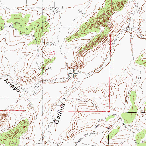 Topographic Map of Almagre Arroyo, NM