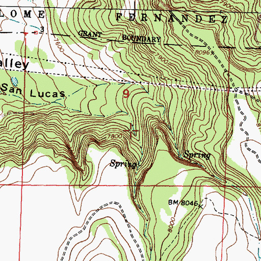 Topographic Map of American Canyon, NM