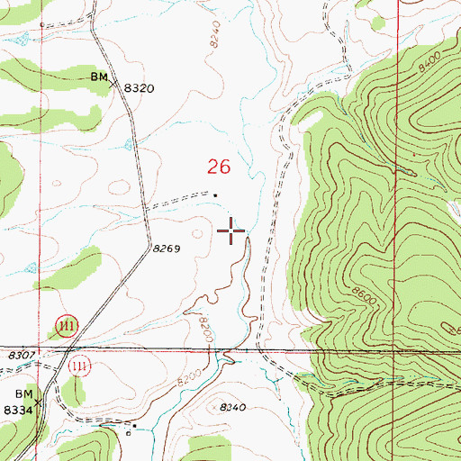 Topographic Map of American Creek, NM
