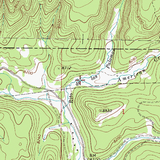 Topographic Map of American Creek, NM