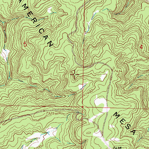 Topographic Map of American Mesa, NM