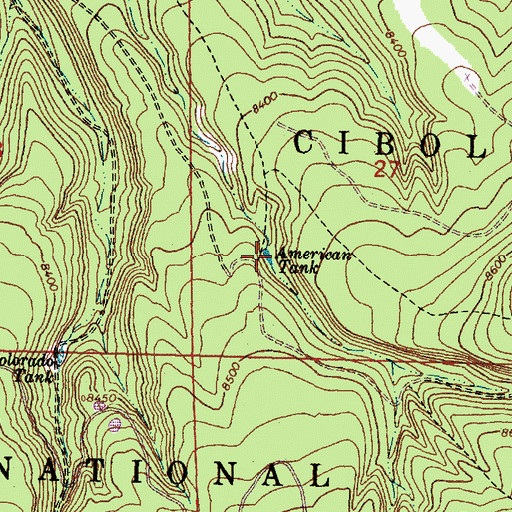 Topographic Map of American Tank, NM