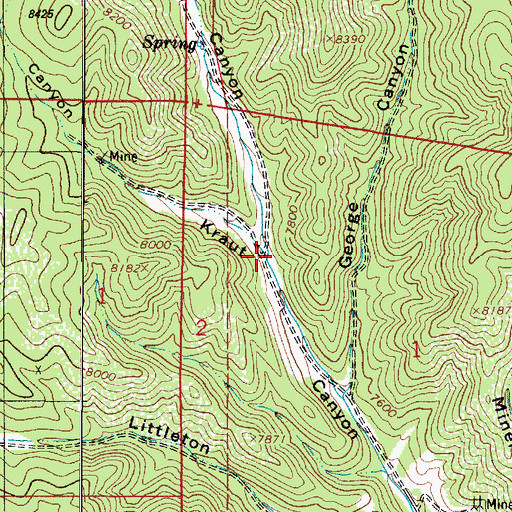 Topographic Map of Anan Canyon, NM