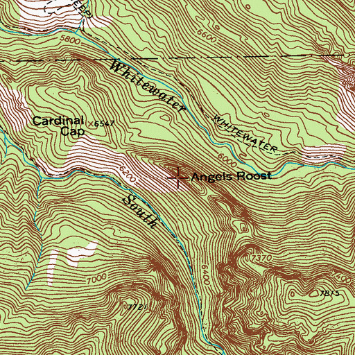 Topographic Map of Angels Roost, NM