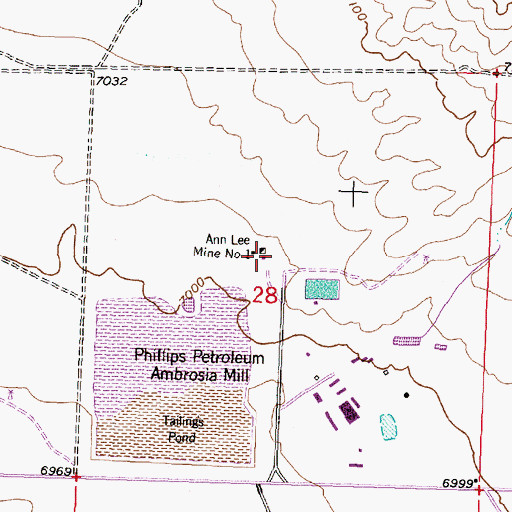 Topographic Map of Ann Lee Mine Number One, NM