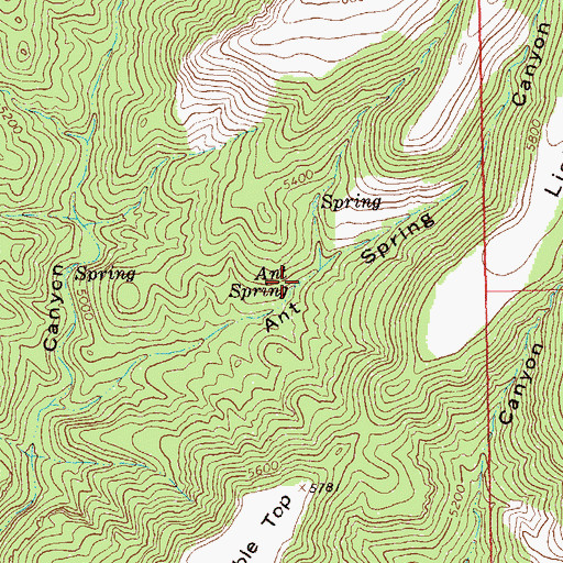 Topographic Map of Ant Spring, NM