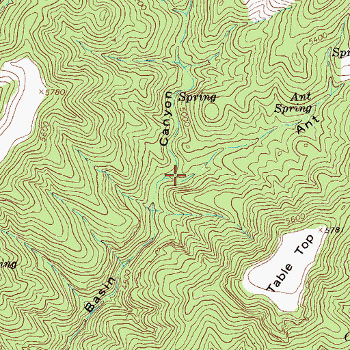 Topographic Map of Ant Spring Canyon, NM