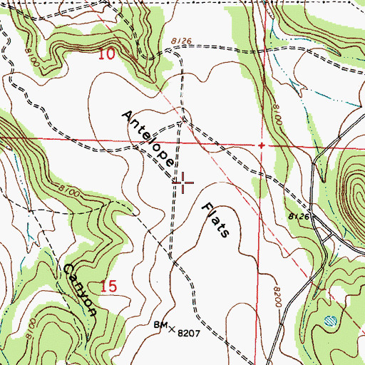 Topographic Map of Antelope Flats, NM