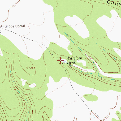 Topographic Map of Antelope Tank, NM