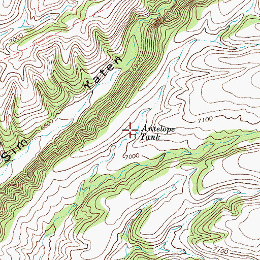Topographic Map of Antelope Tank, NM