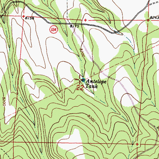 Topographic Map of Antelope Tank, NM