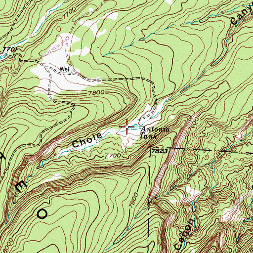 Topographic Map of Antonio Tank, NM