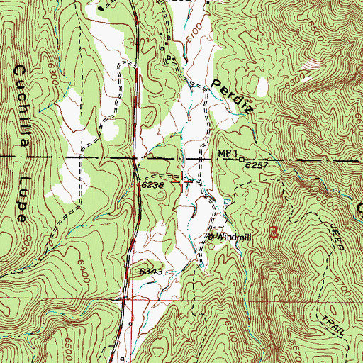 Topographic Map of Apache Canyon, NM