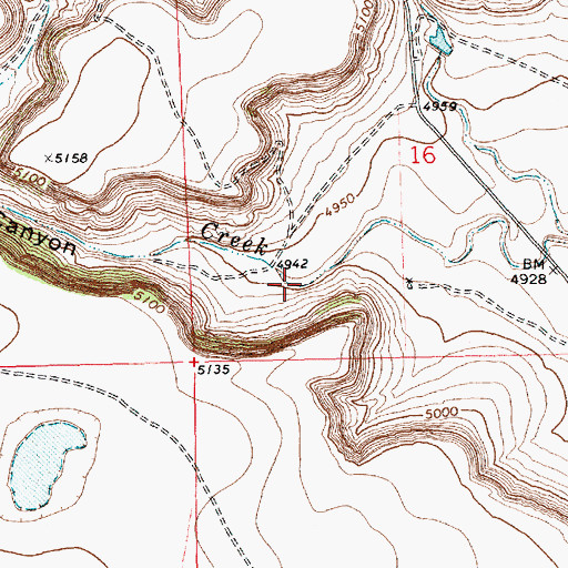 Topographic Map of Apache Canyon, NM