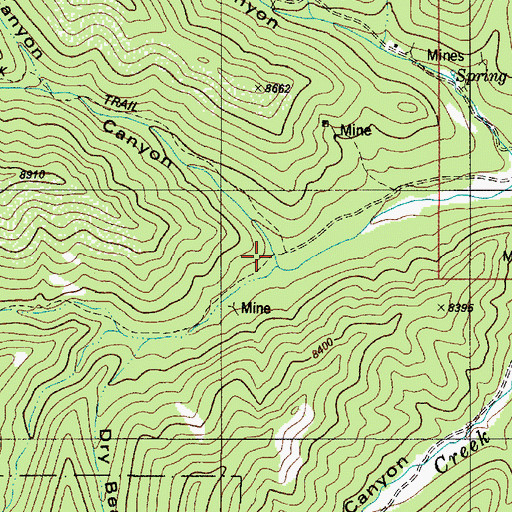 Topographic Map of Argentina Canyon, NM