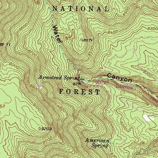 Topographic Map of Armstead Spring, NM